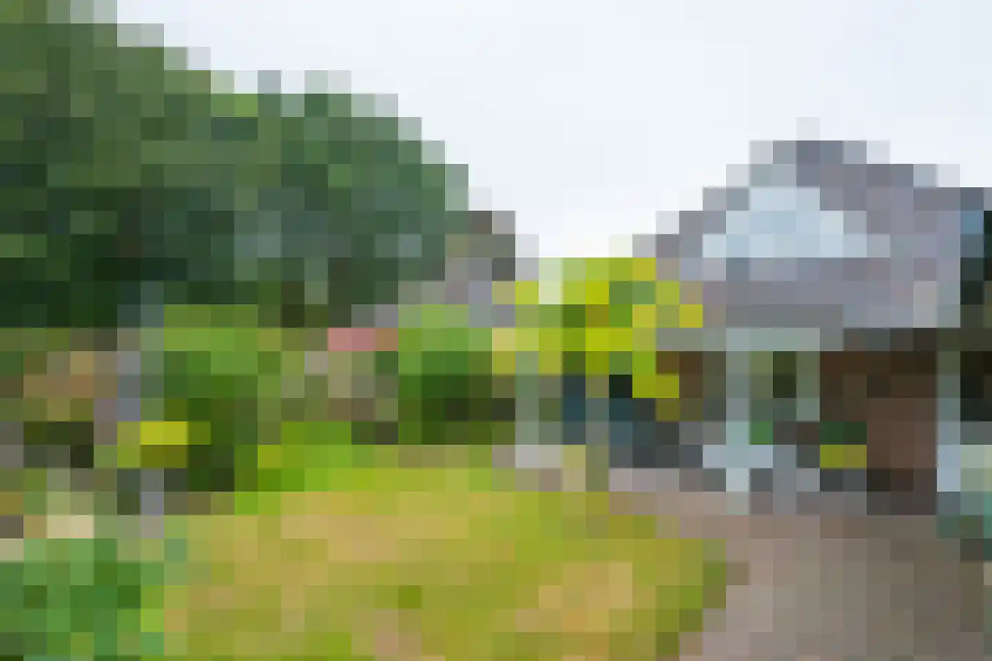 Koldeweiweg 14 Keijenborg thumbnail 39