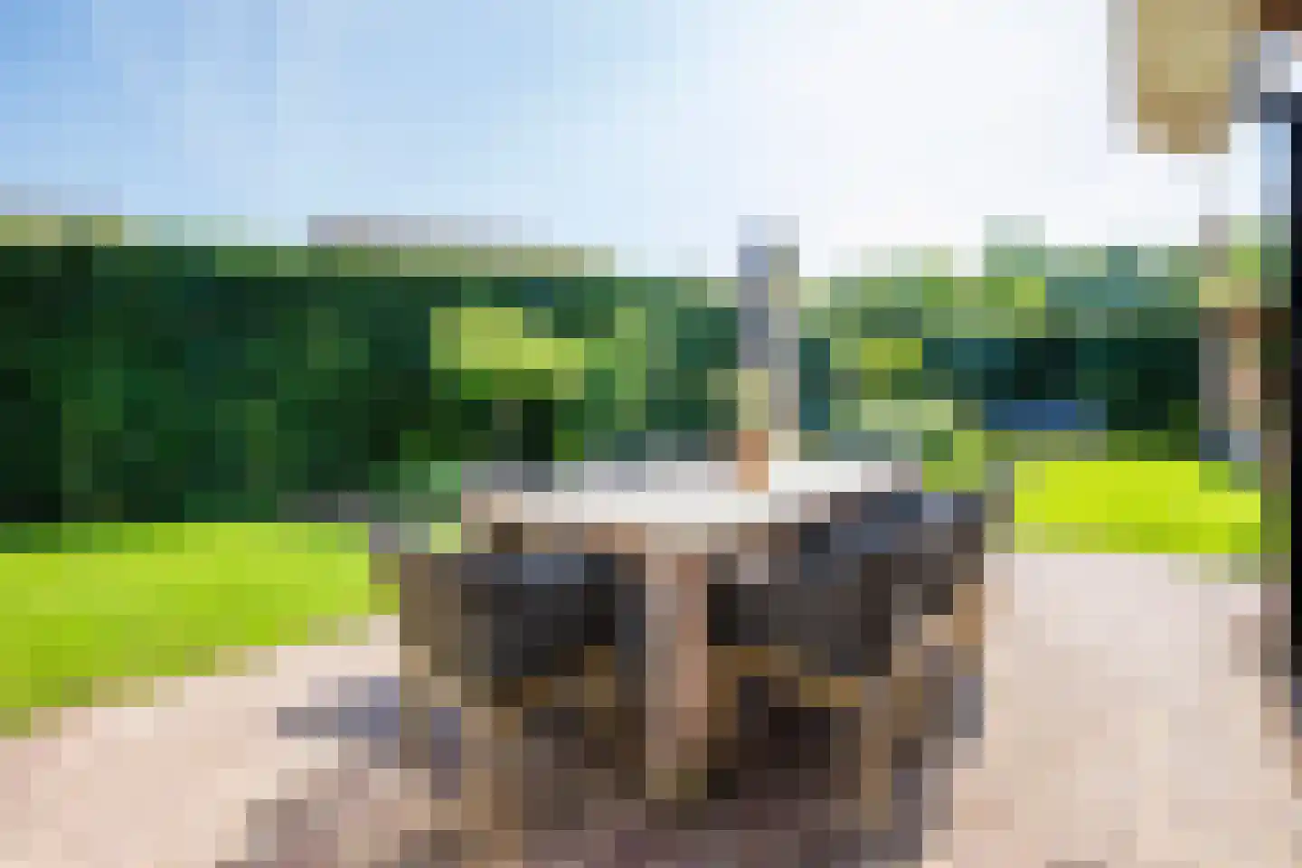 Koldeweiweg 18 Keijenborg thumbnail 17