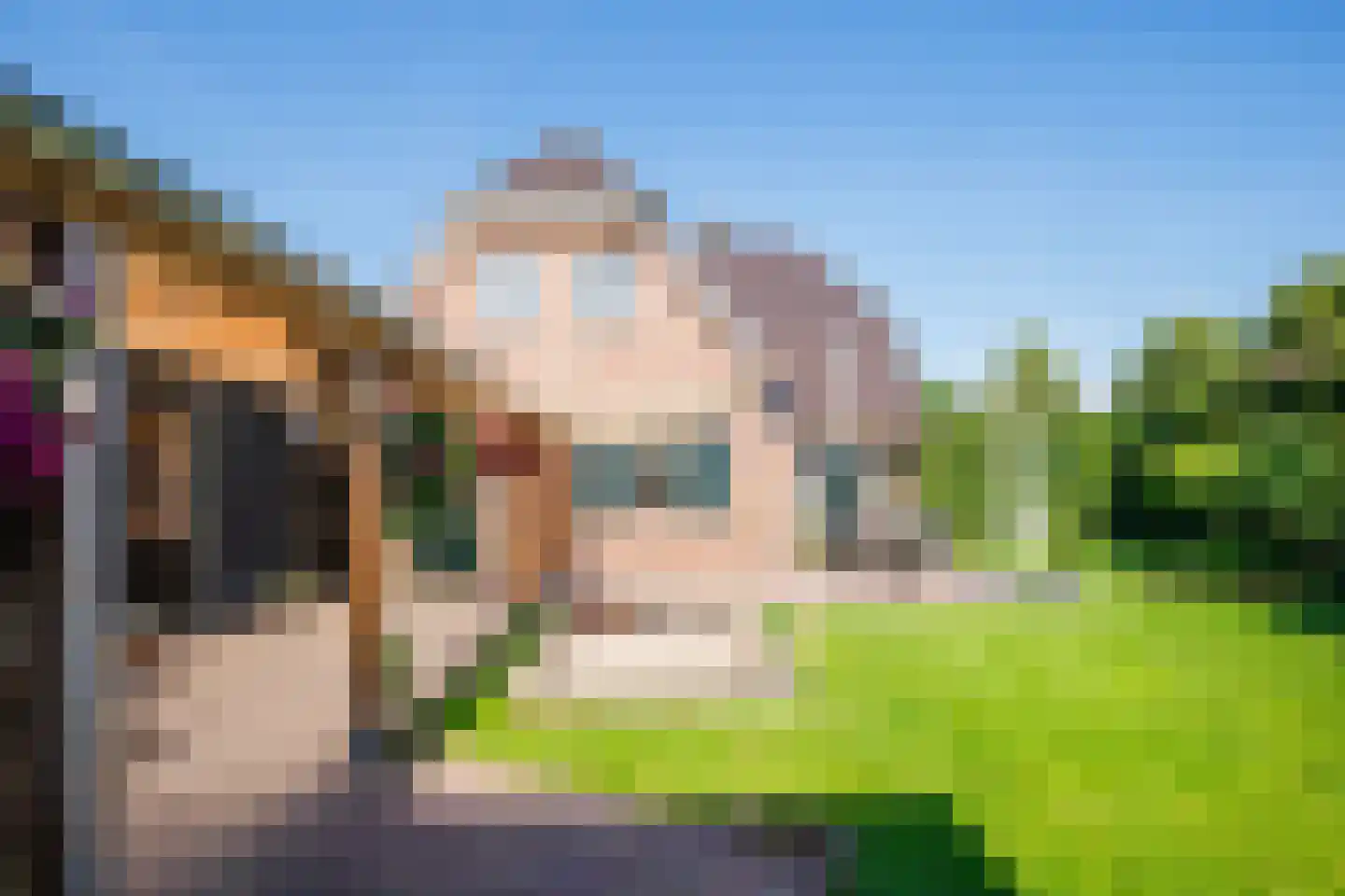 Koldeweiweg 18 Keijenborg thumbnail 20