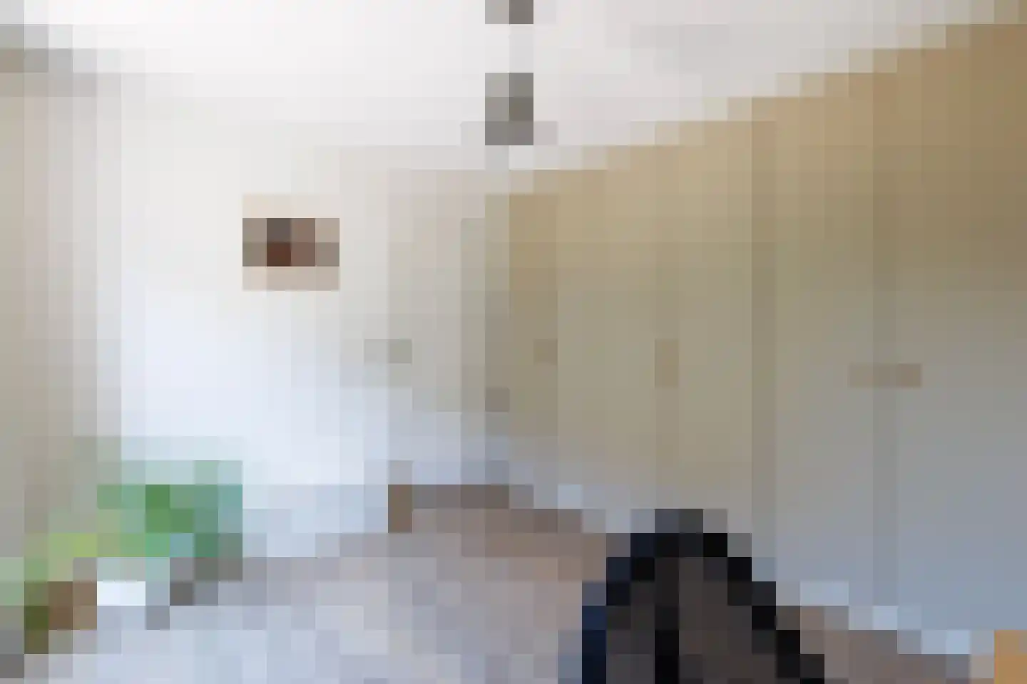Koldeweiweg 18 Keijenborg thumbnail 29