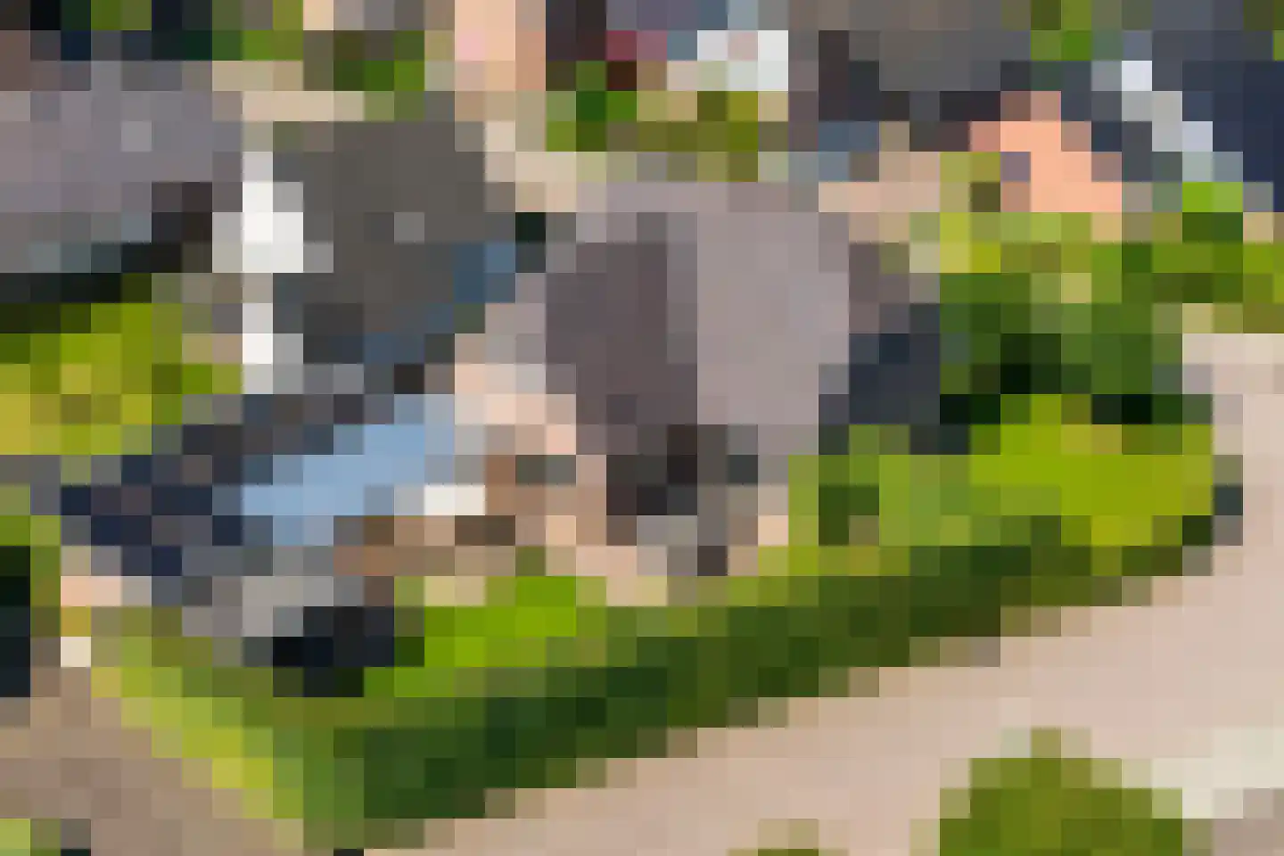 Koldeweiweg 18 Keijenborg thumbnail 45