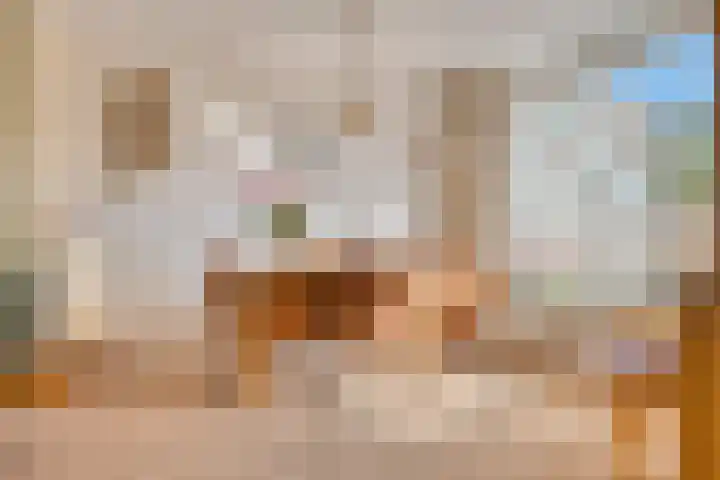 Koldeweypad 3 Rotterdam thumbnail 16
