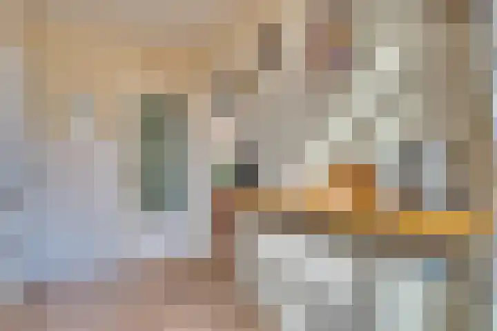 Koldeweypad 3 Rotterdam thumbnail 19