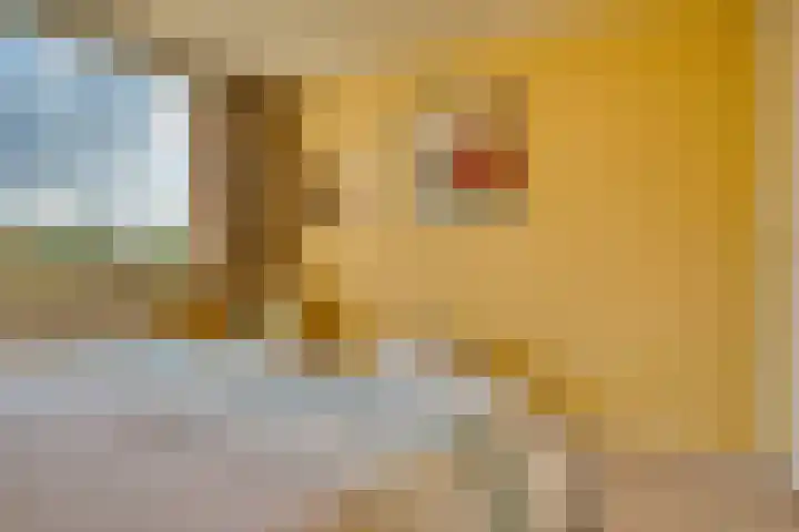 Koldeweypad 3 Rotterdam thumbnail 22