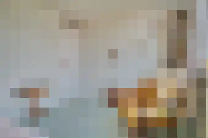 Koldeweypad 3 Rotterdam thumbnail 28