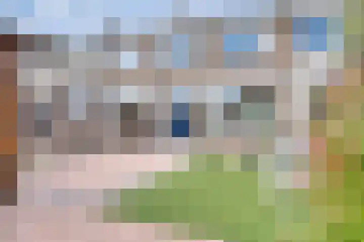 Koldeweypad 3 Rotterdam thumbnail 37