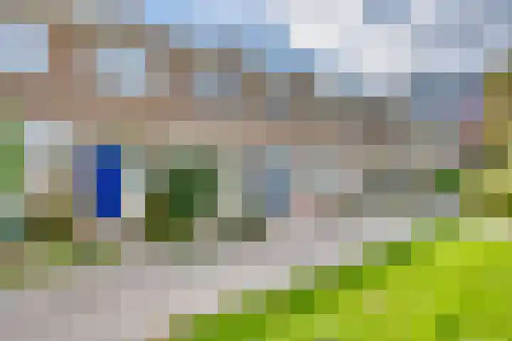 Koldeweypad 3 Rotterdam thumbnail 6