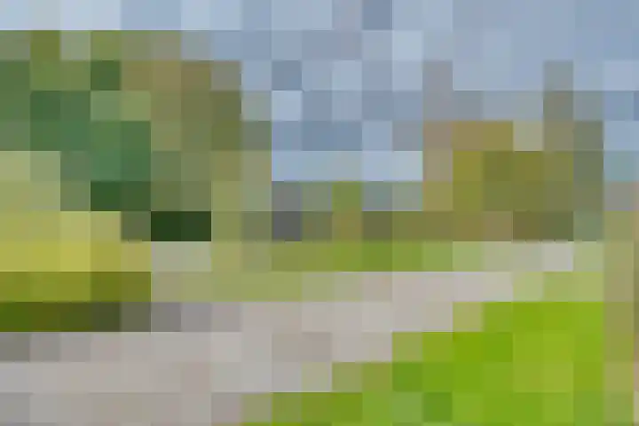 Koldeweypad 3 Rotterdam thumbnail 7