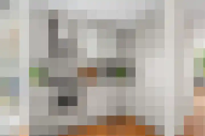 Koldijksterraklaan 194 Utrecht thumbnail 12