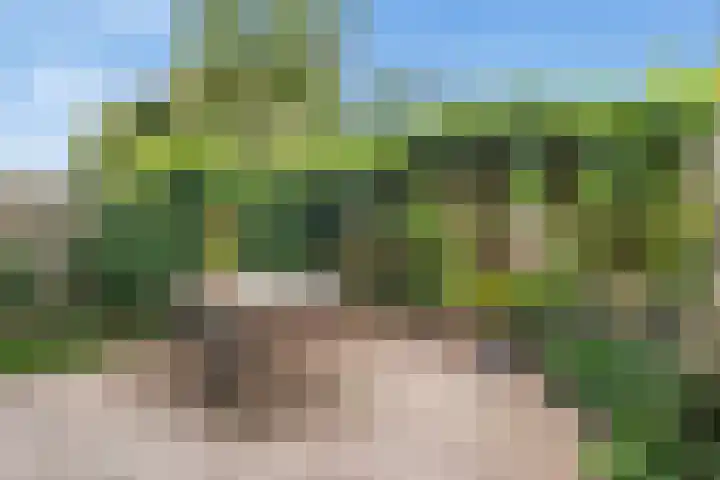 Koldijksterraklaan 194 Utrecht thumbnail 19