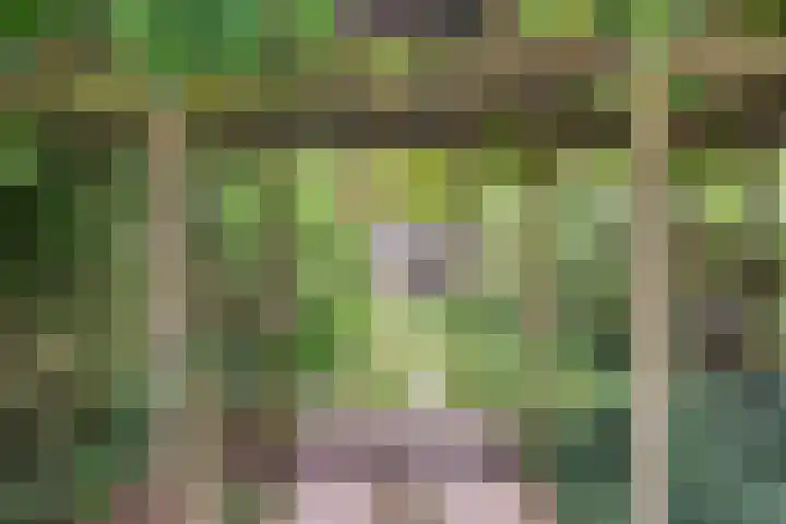 Koldijksterraklaan 194 Utrecht thumbnail 20