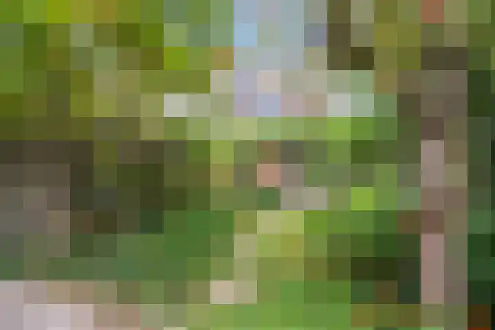 Koldijksterraklaan 194 Utrecht thumbnail 21