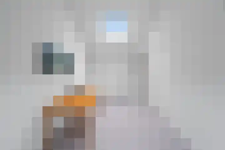 Koldijksterraklaan 194 Utrecht thumbnail 41