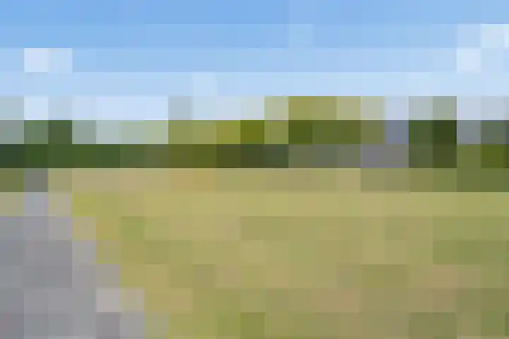 Koldijksterraklaan 194 Utrecht thumbnail 47