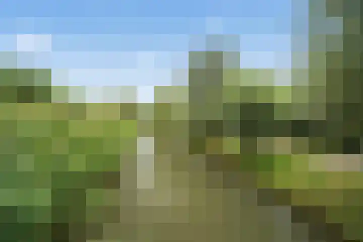 Koldijksterraklaan 194 Utrecht thumbnail 50