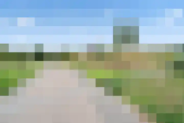 Koldijksterraklaan 194 Utrecht thumbnail 51