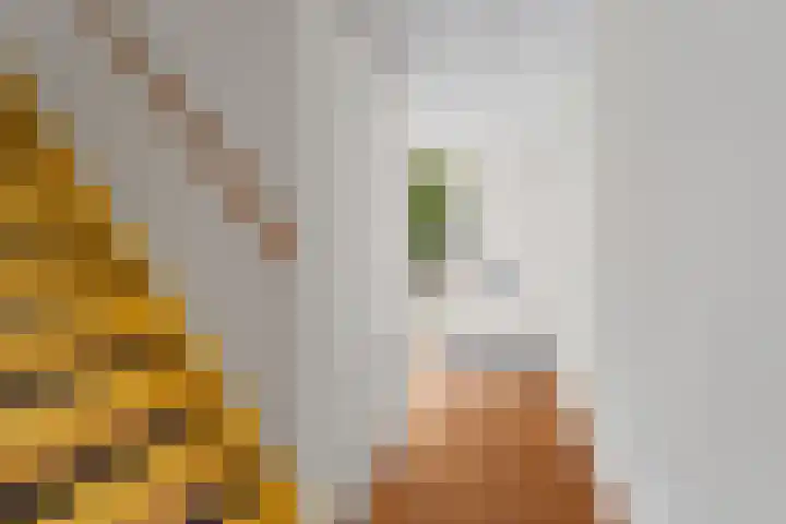 Koldijksterraklaan 194 Utrecht thumbnail 6