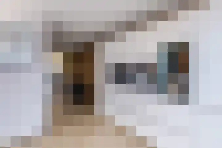 Koldijksterraklaan 212 Utrecht thumbnail 20