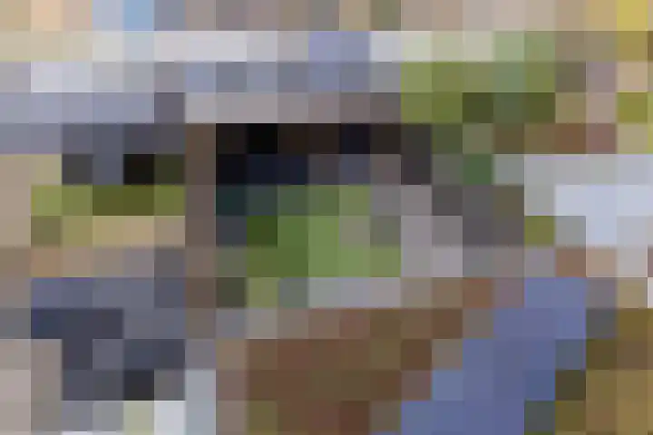 Koldijksterraklaan 212 Utrecht thumbnail 52