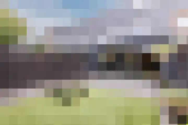 Koldijksterraklaan 212 Utrecht thumbnail 55