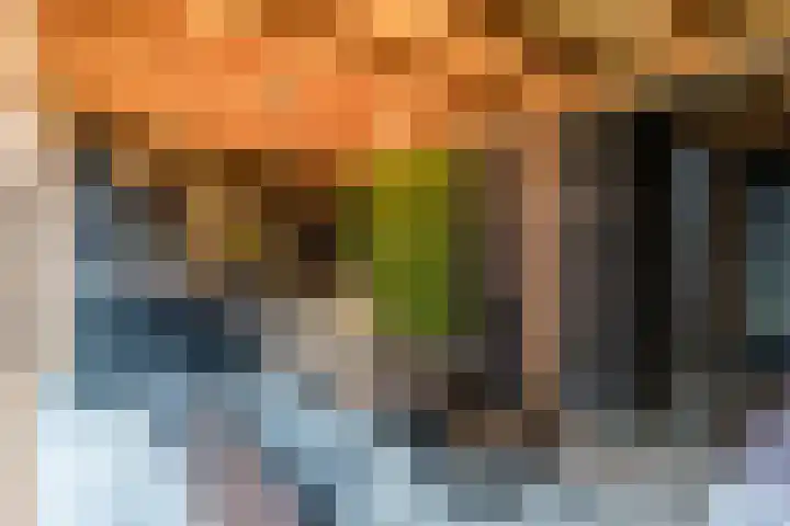 Koldijksterraklaan 212 Utrecht thumbnail 59