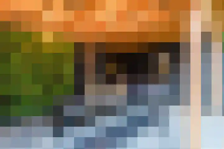 Koldijksterraklaan 212 Utrecht thumbnail 60