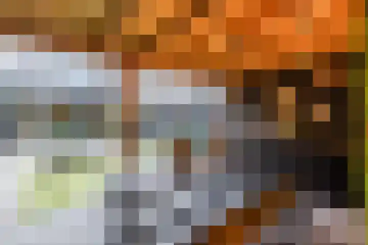 Koldijksterraklaan 212 Utrecht thumbnail 61