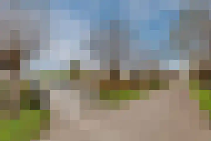 Koldijksterraklaan 212 Utrecht thumbnail 74