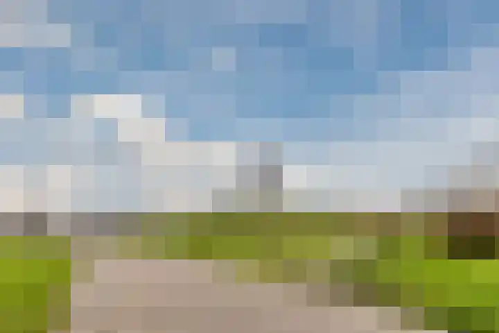Koldijksterraklaan 212 Utrecht thumbnail 79