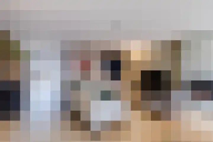 Koldijksterraklaan 212 Utrecht thumbnail 8