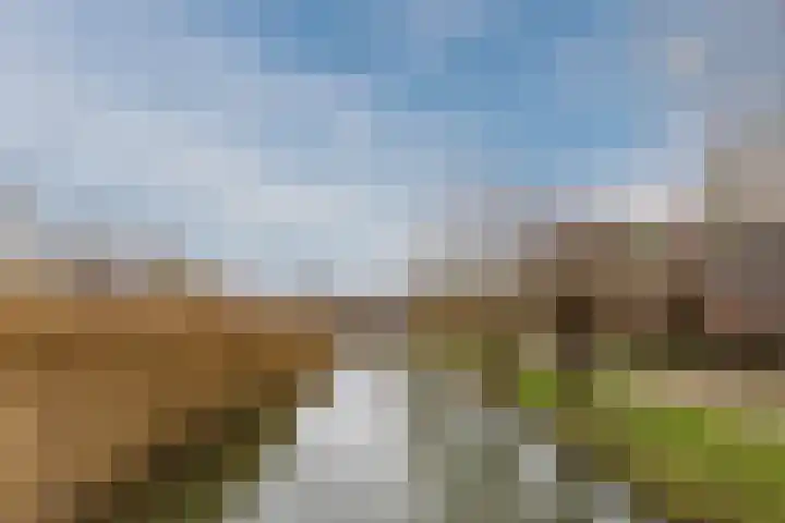 Koldijksterraklaan 212 Utrecht thumbnail 80