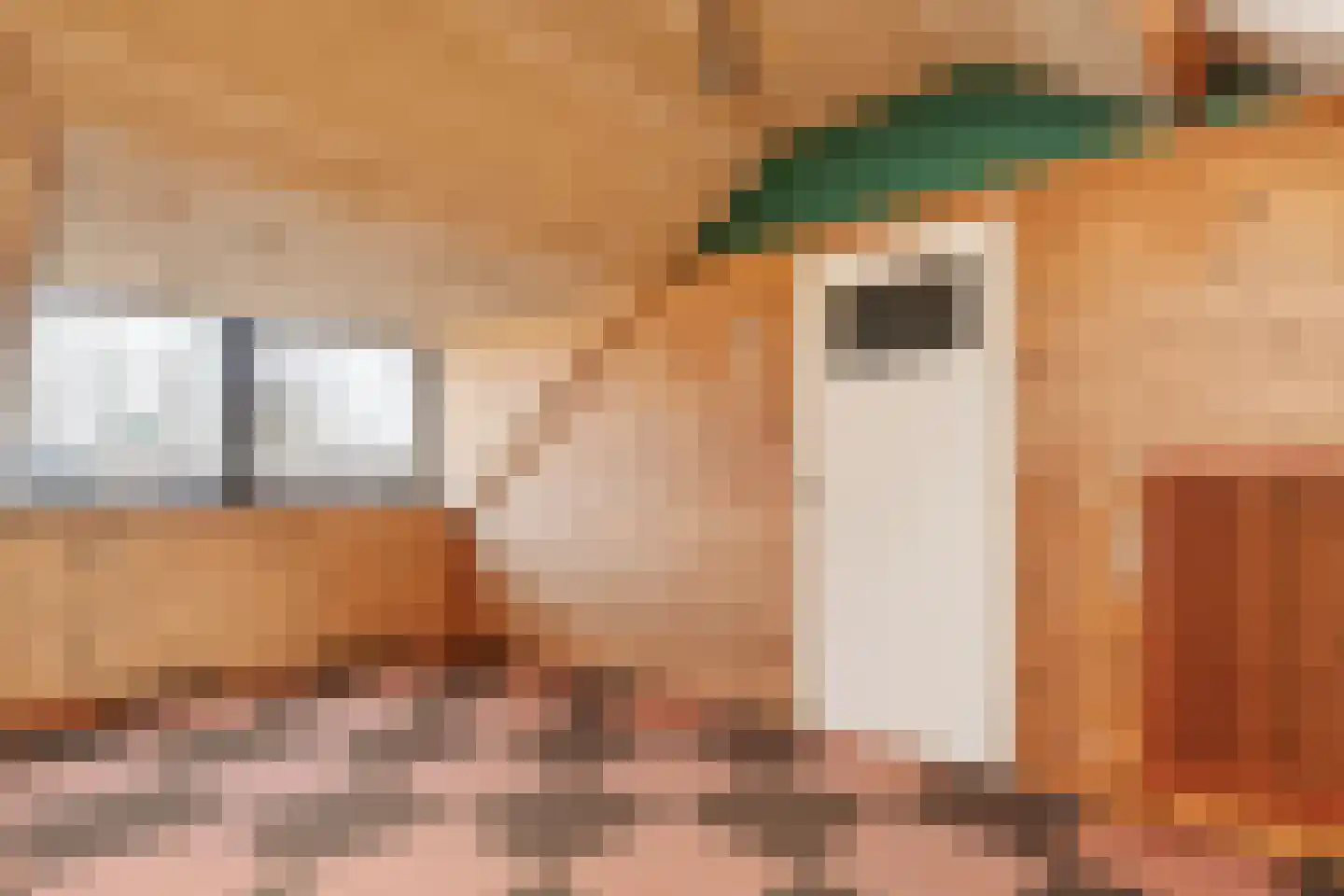 Kolebossenlaan 7 IJmuiden thumbnail 40