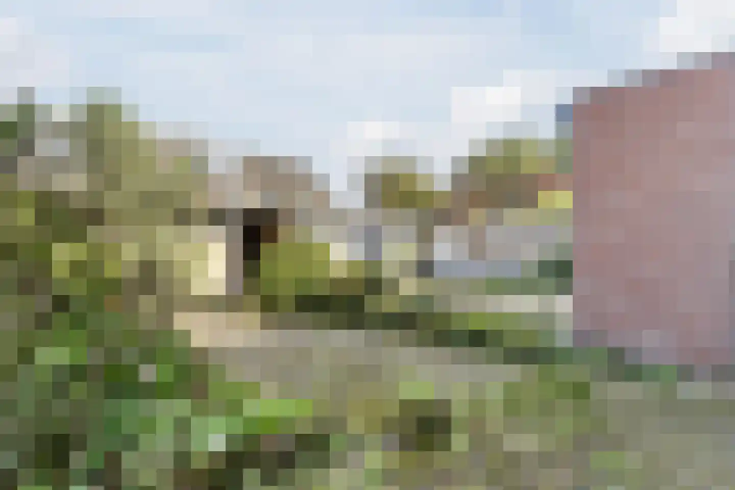 Kolebossenlaan 7 IJmuiden thumbnail 41