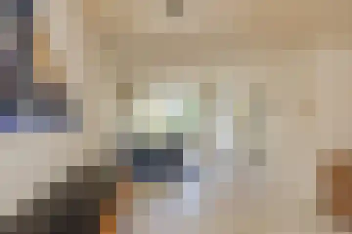 Kolebossenlaan 9 IJmuiden thumbnail 12