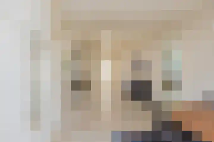 Kolebossenlaan 9 IJmuiden thumbnail 15