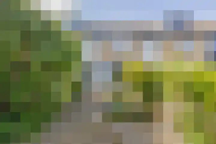 Kolebossenlaan 9 IJmuiden thumbnail 20