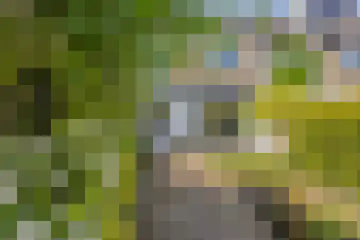 Kolebossenlaan 9 IJmuiden thumbnail 21