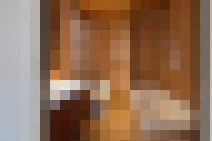 Kolebossenlaan 9 IJmuiden thumbnail 25