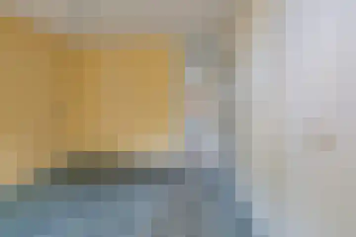Kolebossenlaan 9 IJmuiden thumbnail 29