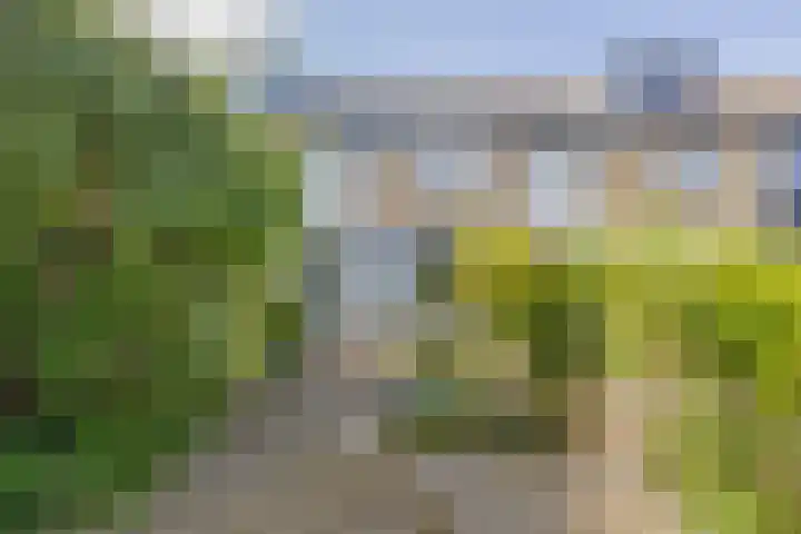 Kolebossenlaan 9 IJmuiden thumbnail 4