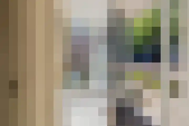 Kolebossenlaan 9 IJmuiden thumbnail 5