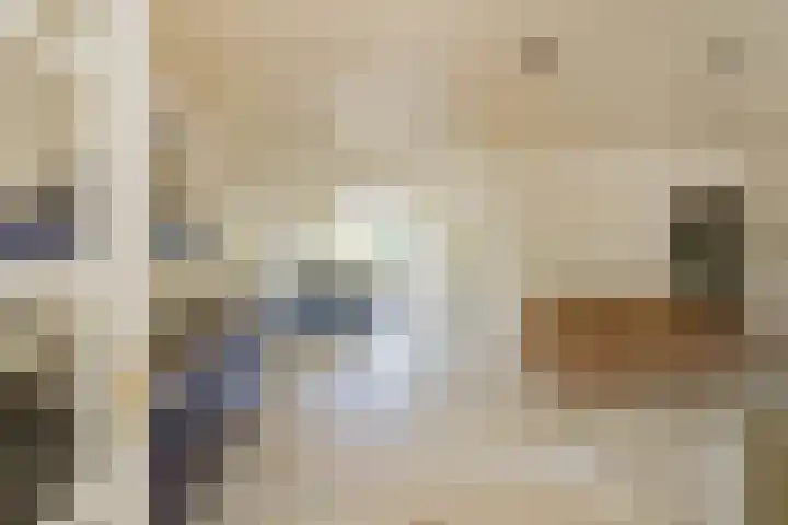 Kolebossenlaan 9 IJmuiden thumbnail 7