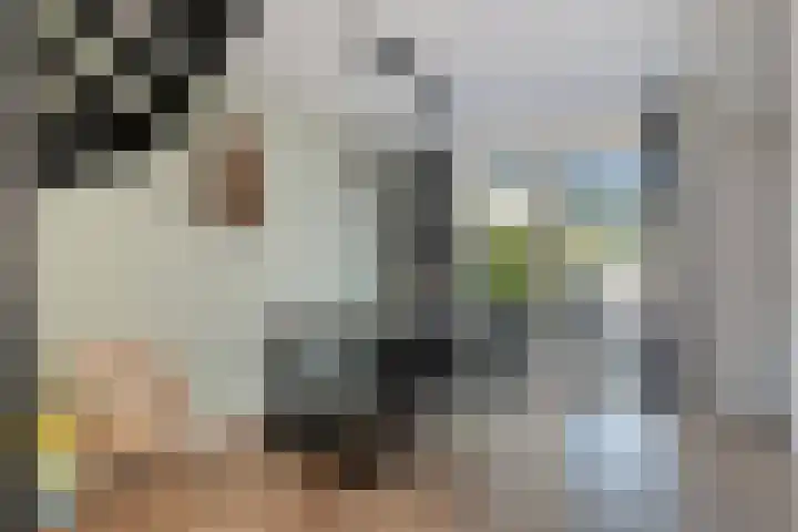 Koleind 36 Veldhoven thumbnail 10