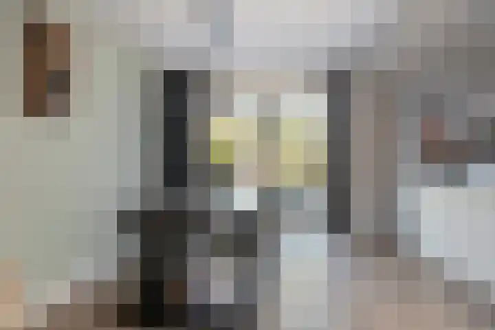 Koleind 36 Veldhoven thumbnail 11
