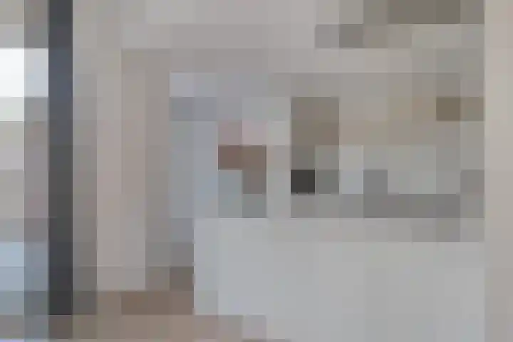Koleind 36 Veldhoven thumbnail 12