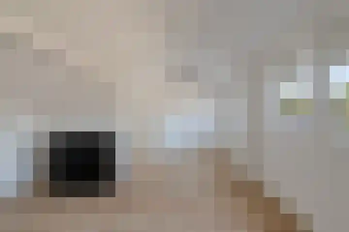 Koleind 36 Veldhoven thumbnail 24