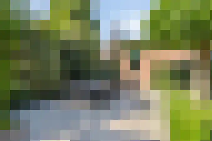 Koleind 36 Veldhoven thumbnail 27