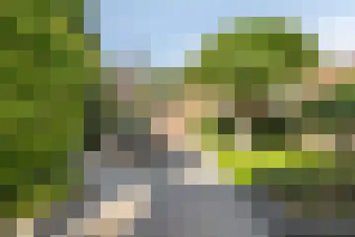 Koleind 36 Veldhoven thumbnail 28