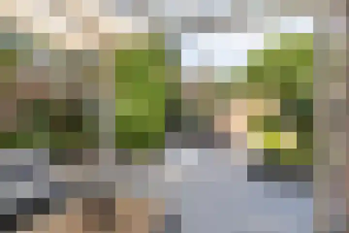Koleind 36 Veldhoven thumbnail 29