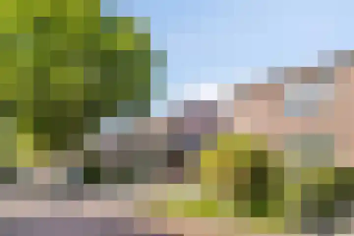Koleind 36 Veldhoven thumbnail 33